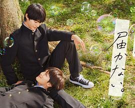 速度与激情9特别行动1080p